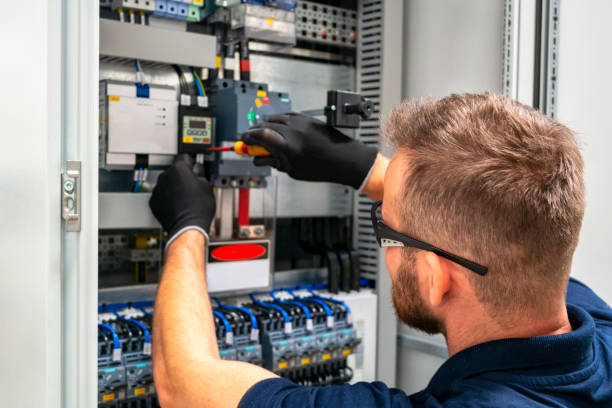 Best Electrical Upgrades for Homes  in Albany, WI