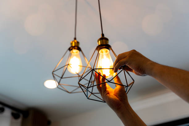 Best Licensed Electrician  in Albany, WI