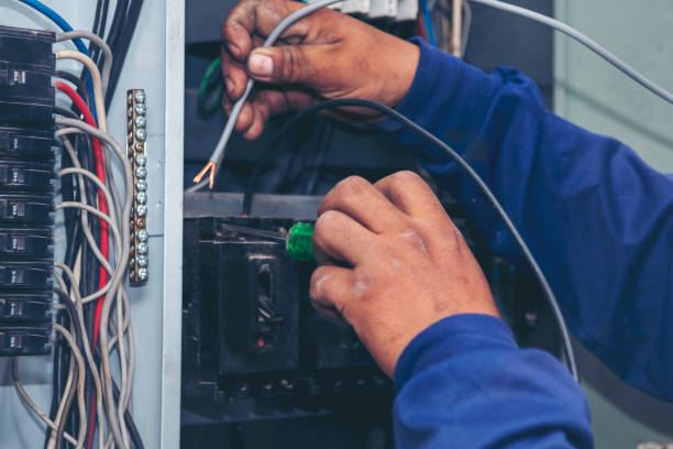 Best Electrical Rewiring Services  in Albany, WI