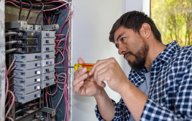Best Best Electricians Near Me  in Albany, WI
